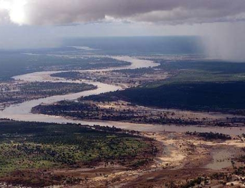 The Great Grey-Green-Greasy Limpopo: Great Rivers of Africa!
