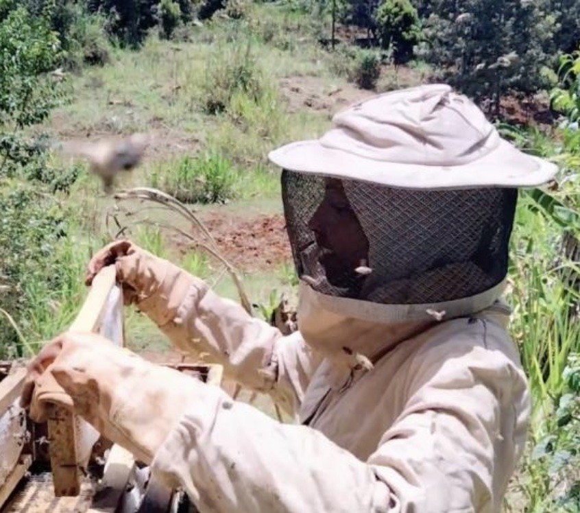 African Women Beekeepers