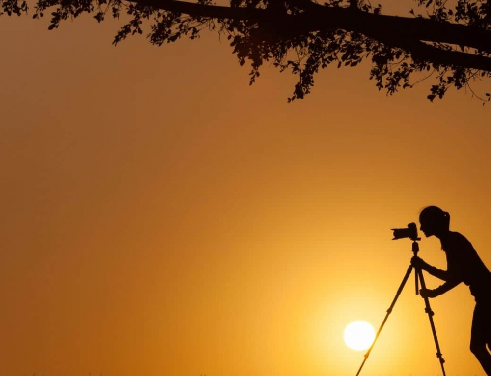 The Great GreyGreenGreasy Limpopo Great Rivers of Africa