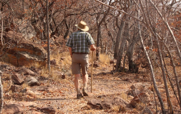 elderly man walking through the bushes with his walking stick