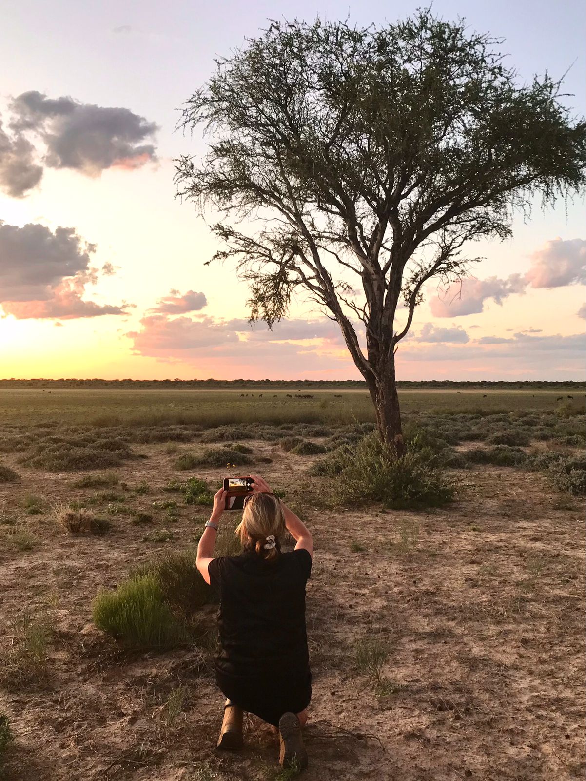 Conservation Experience worker kneeling on ground with back to camera taking a picture of the setting sun looking out over pan filled with animals grazing