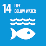 SDG14 Icon