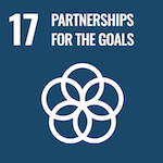 SDG17 Icon