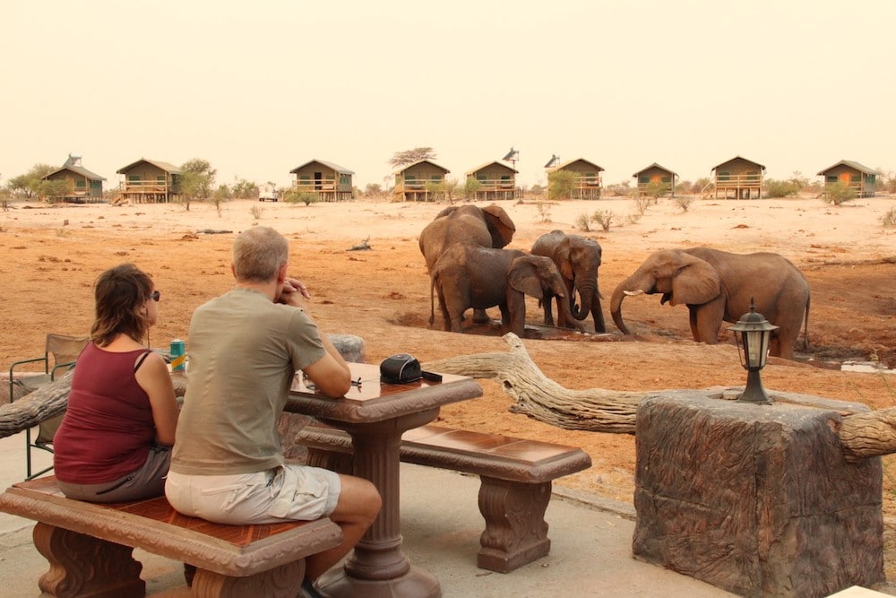 Tourists enjoying watching elephants interact at a waterhole