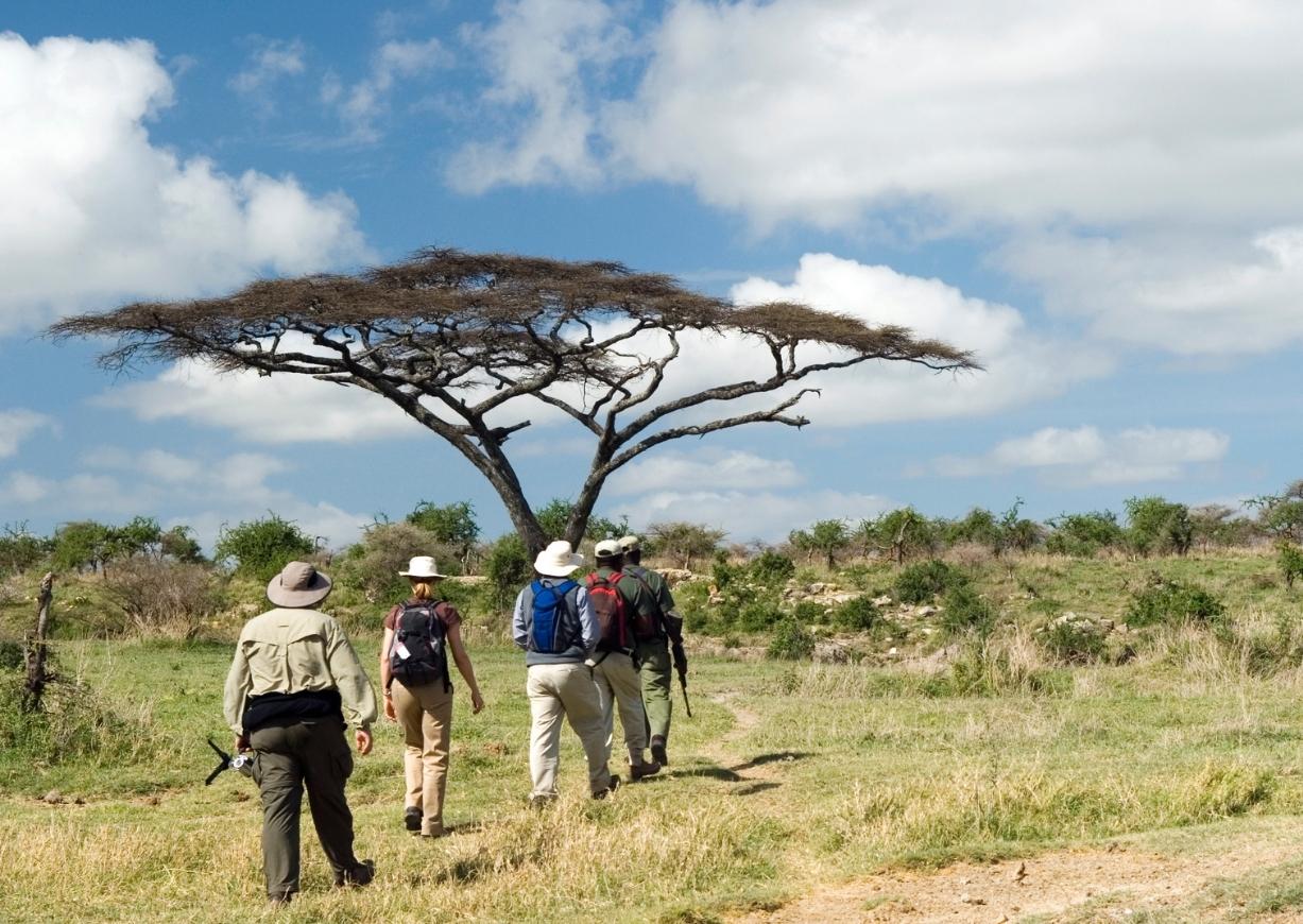 Exploring Limpopo