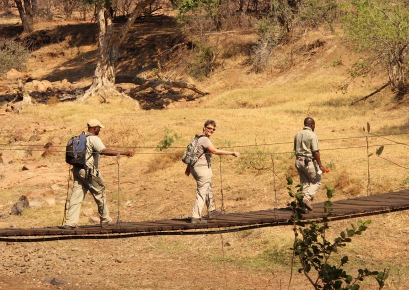 Guided walks in Botswana