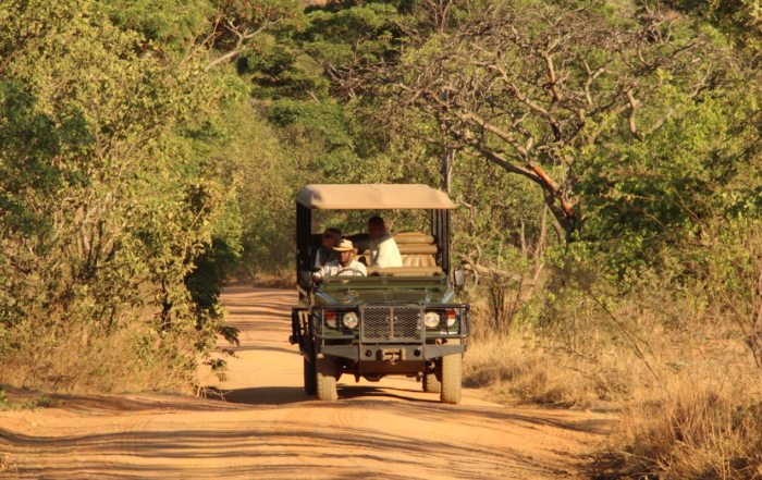 4x4 on track in africa