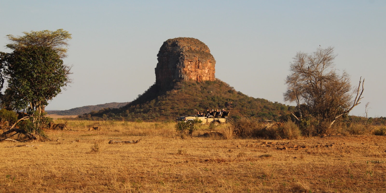 Looking out over savannah safari vehicle and mountain koppie in background