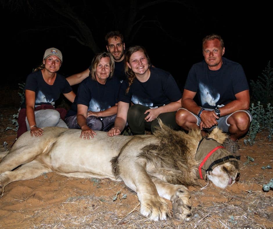 Kalahari Conservationists - Assisting Lion Procedure - group photo