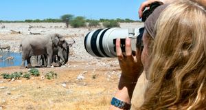 Close up of woman photographing an elephant at a waterhole