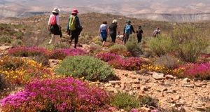 Women Hiking in Namaqualand wild flowers in the foreground Schaap River Canyon in Background