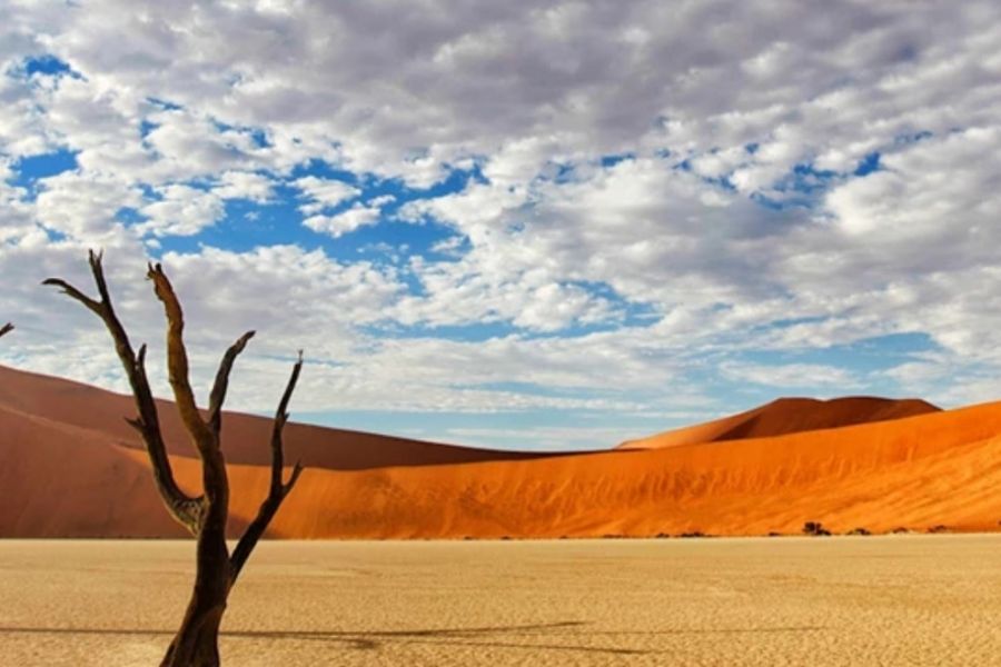 Namib Desert - Dunes