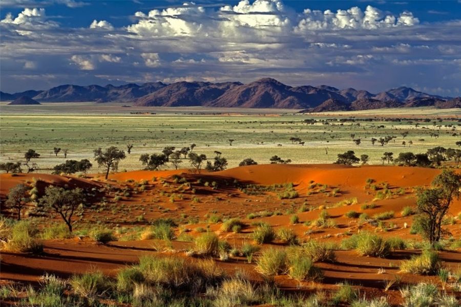 Namibian Landscapes