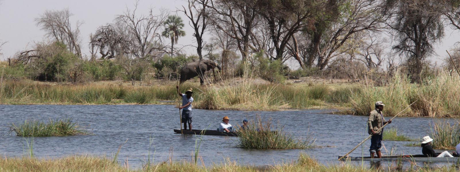 Guests enjoying a mokoro ride in the Okavango Delta with elephants in the background