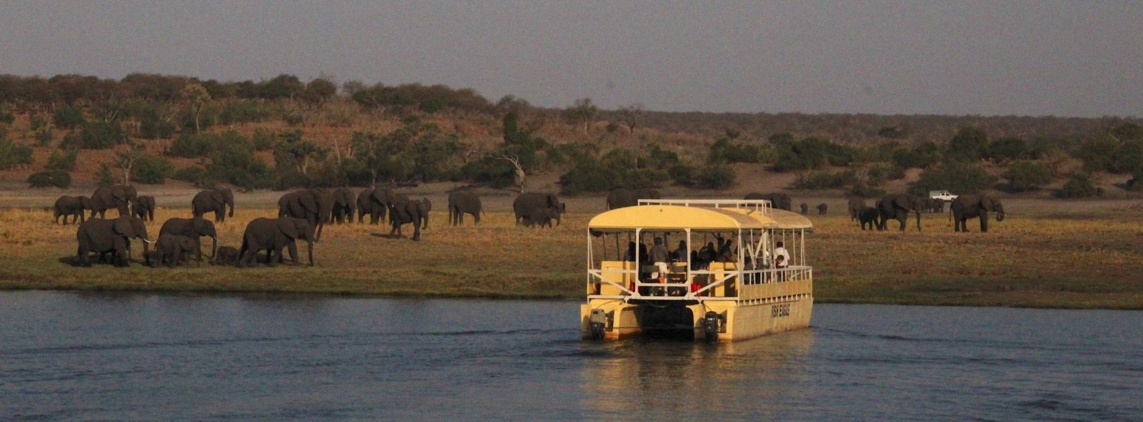 Sunset Game viewing by boat in Chobe Sunset Game viewing by boat in Chobe - picture shows game viewing boat full of people on Chobe River enjoying a sighting of a herd of elephant on river bank