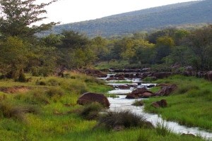 River flowing through the hills in the Waterberg Biosphere region of South Africa