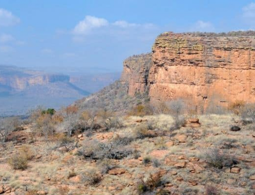 The Great GreyGreenGreasy Limpopo Great Rivers of Africa