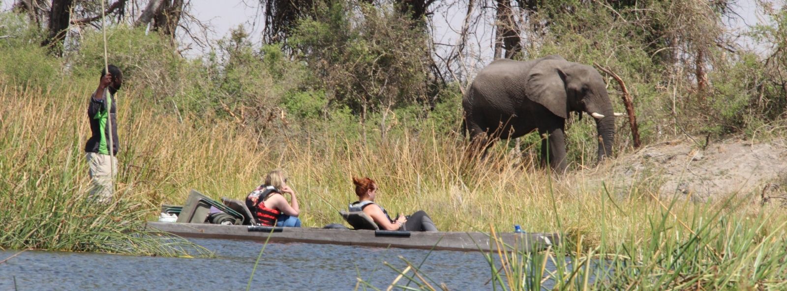 Game viewing from a Mokoro in the Okavango - picture of two people in the Mokoro enjoying a sighting of an elephant on the bank