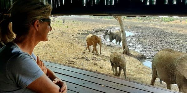 Woman looking out from hide onto elephants drinking below in Limpopo River Valley, South Africa