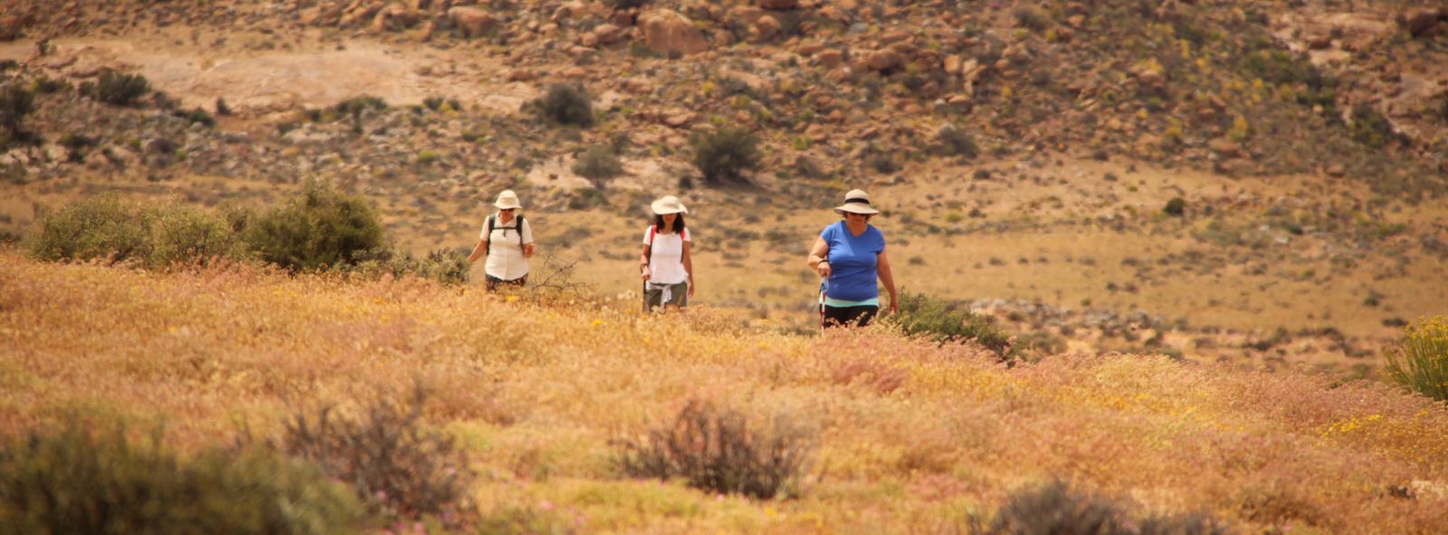 Three women wearing sun hats walking towards the camera in the wild flower meadows of Namaqualand