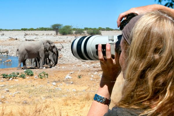 Woman taking a photograph of elephant at waterhole